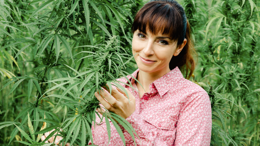 Woman holding an hemp flower